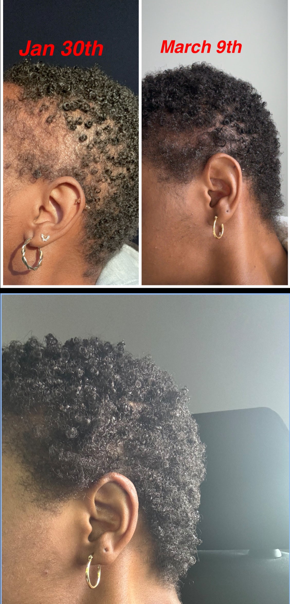 Aloe Rosemary Hair and Scalp Oil
