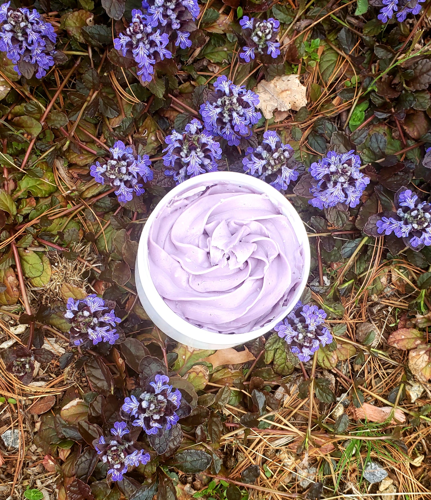 Whipped Shea Body Butter